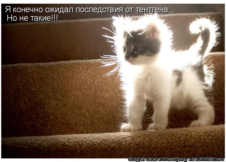 Я конечно ожидал последствия от тентгена... Но не такие!!!... Котоматрица: Я конечно ожидал последствия от тентгена... Но не такие!!!