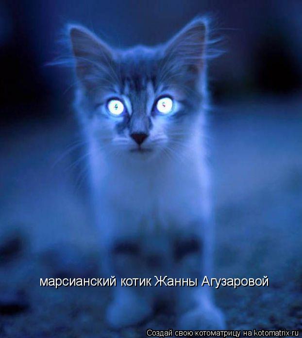 марсианский котик Жанны Агузаровой... Котоматрица: марсианский котик Жанны Агузаровой