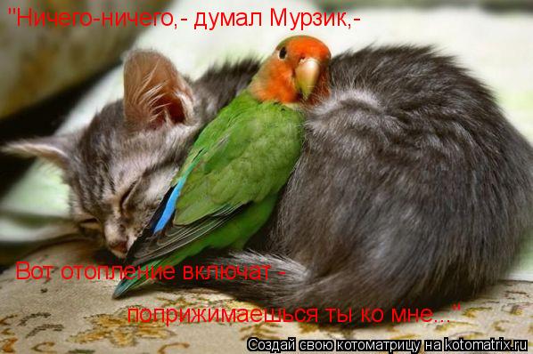"Ничего-ничего,- думал Мурзик,- Вот отопление включат - поприжимаешься ты ко мне..."... Котоматрица: "Ничего-ничего,- думал Мурзик,- Вот отопление включат - поприжимаешься ты ко мне..."