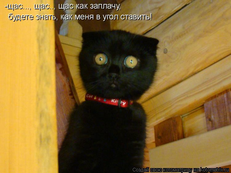Котоматрица: -щас..., щас.., щас как заплачу,  будете знать, как меня в угол ставить!