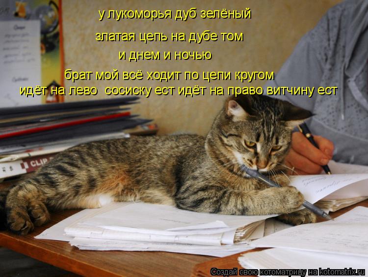 Котоматрица: у лукоморья дуб зелёный златая цепь на дубе том и днем и ночью   брат мой всё ходит по цепи кругом идёт на лево  сосиску ест идёт на право витч
