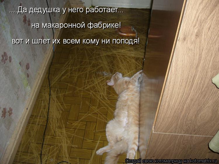 Котоматрица: на макаронной фабрике! вот и шлет их всем кому ни поподя! ....Да дедушка у него работает...