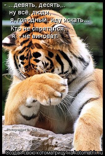 - ...девять, десять,.. ну всё, люди, я, голодный, иду искать... Кто не спрятался, я, - не виноват.... Котоматрица: - ...девять, десять,.. ну всё, люди, я, голодный, иду искать... Кто не спрятался, я, - не виноват.