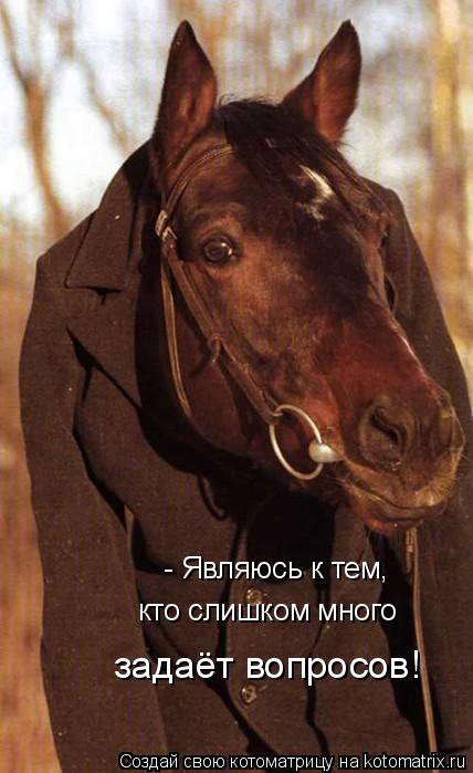Котоматрица: - Являюсь к тем,  кто слишком много  задаёт вопросов!