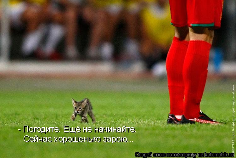 Котоматрица: Сейчас хорошенько зарою... - Погодите. Ещё не начинайте.