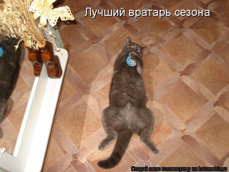 Котоматрица: Лучший вратарь сезона