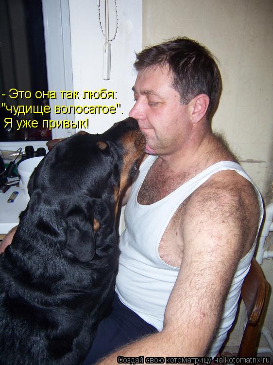 Котоматрица: Я уже привык! "чудище волосатое". - Это она так любя: