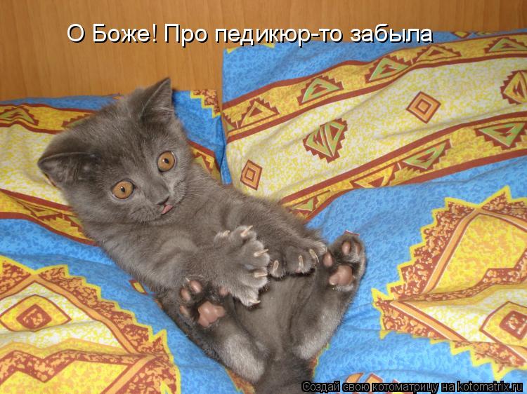 Котоматрица: О Боже! Про педикюр-то забыла
