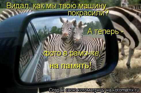 Котоматрица: Видал, как мы твою машину  покрасили? А теперь -  фото в рамочке, на память!