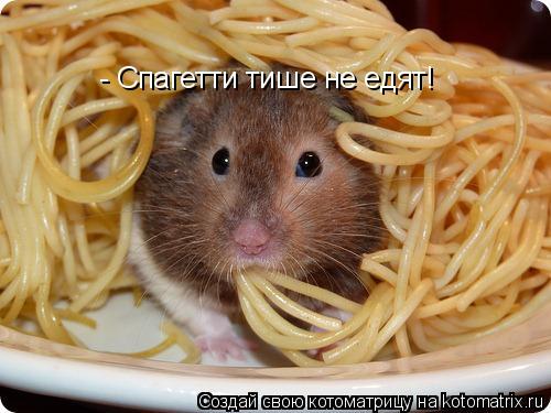 Котоматрица: - Спагетти тише не едят!