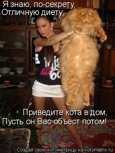 Котоматрица: Я знаю, по-секрету, Отличную диету: Приведите кота в дом, Пусть он Вас объест потом!