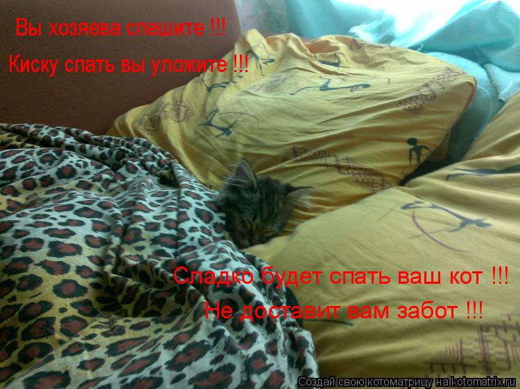 Котоматрица: Вы хозяева спешите !!! Киску спать вы уложите !!! Сладко будет спать ваш кот !!! Не доставит вам забот !!!