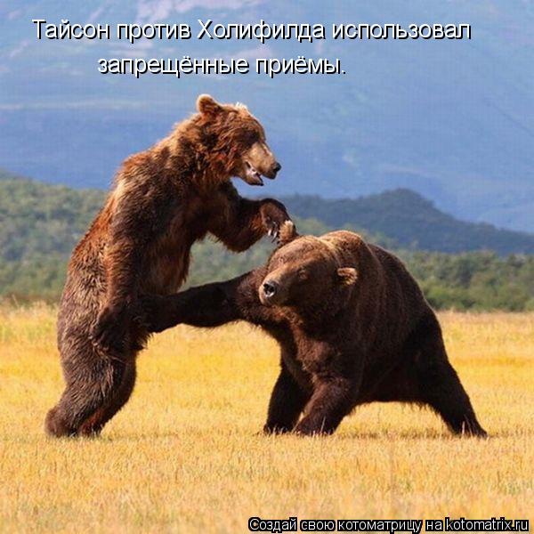 Котоматрица: Тайсон против Холифилда использовал запрещённые приёмы.