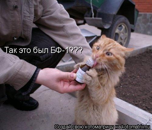 Котоматрица: Так это был БФ-1???