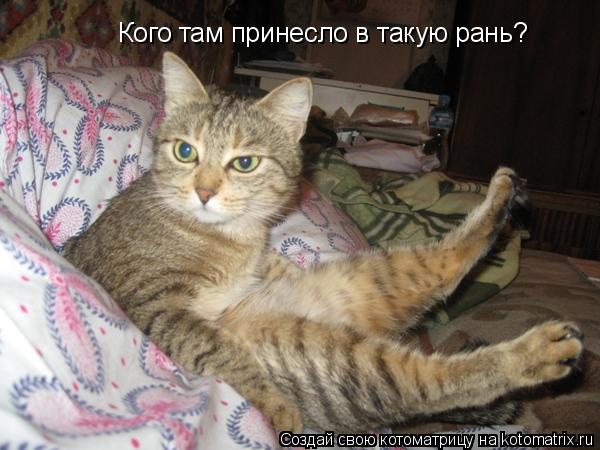 Котоматрица: Кого там принесло в такую рань?
