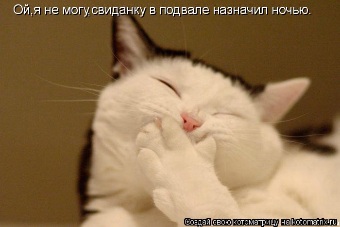 Котоматрица: Ой,я не могу,свиданку в подвале назначил ночью.