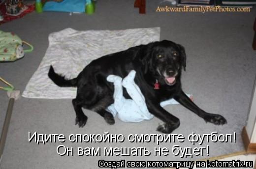 Котоматрица: Идите спокойно смотрите футбол! Он вам мешать не будет!