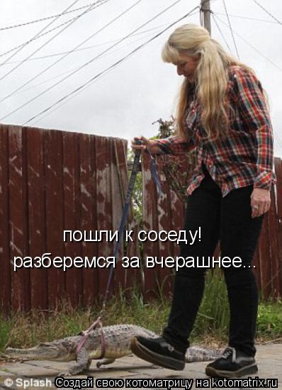 Котоматрица: пошли к соседу! разберемся за вчерашнее...