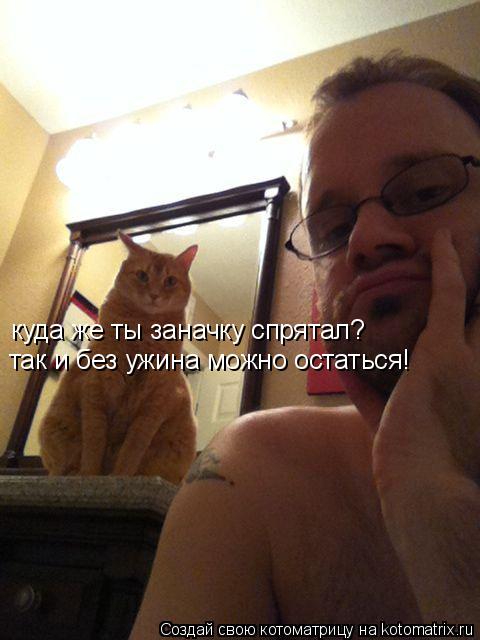 Котоматрица: куда же ты заначку спрятал? так и без ужина можно остаться!