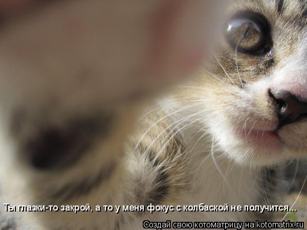 Котоматрица: Ты глазки-то закрой, а то у меня фокус с колбаской не получится...