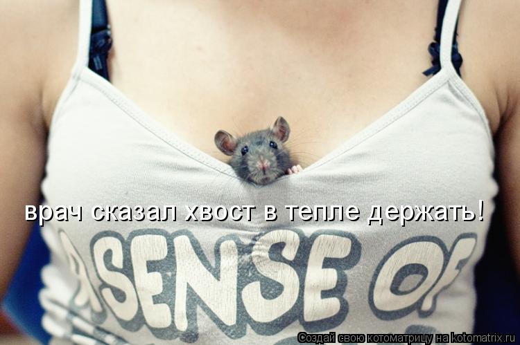 Котоматрица: врач сказал хвост в тепле держать!