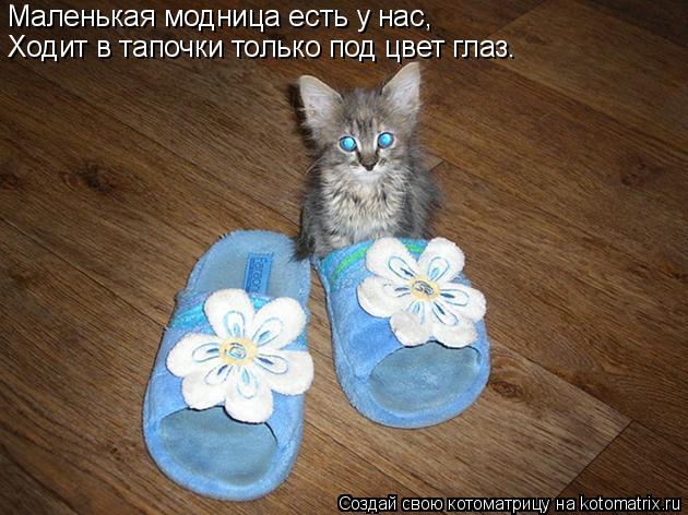 Котоматрица: Маленькая модница есть у нас, Ходит в тапочки только под цвет глаз.