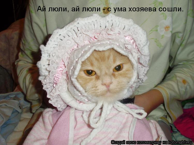 Котоматрица: Ай люли, ай люли - с ума хозяева сошли.
