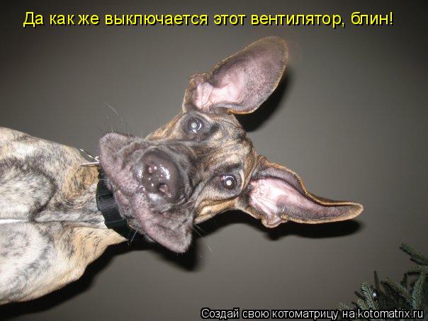 Котоматрица: Да как же выключается этот вентилятор, блин!