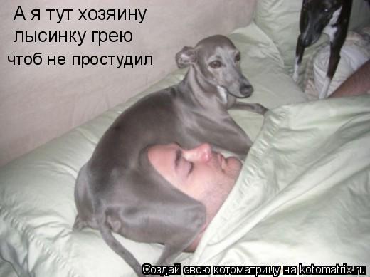 Котоматрица: А я тут хозяину лысинку грею чтоб не простудил