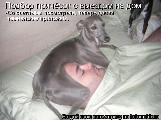 Котоматрица: Подбор причёсок с выездом на дом -Со светлыми посмотрели, теперь давай темненькие приложим.