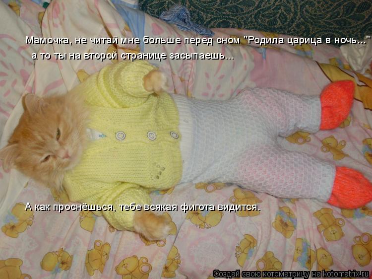 Котоматрица: Мамочка, не читай мне больше перед сном "Родила царица в ночь..." а то ты на второй странице засыпаешь... А как проснёшься, тебе всякая фигота в