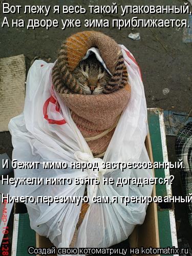 Котоматрица: Вот лежу я весь такой упакованный, И бежит мимо народ застрессованный. А на дворе уже зима приближается. Неужели никто взять не догадается? 