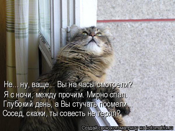 Не... ну, ваще... Вы на часы смотрели? Я с ночи, между прочим. Мирно спал. Глубокий день, а Вы стучат... Котоматрица: Не... ну, ваще... Вы на часы смотрели? Я с ночи, между прочим. Мирно спал. Глубокий день, а Вы стучать посмели... Сосед, скажи, ты совесть не терял?