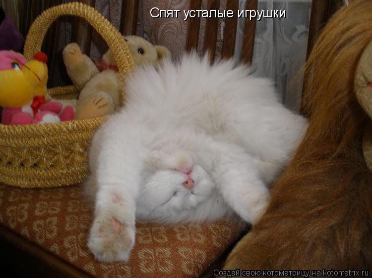Котоматрица: Спят усталые игрушки