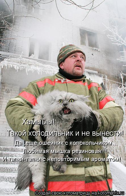 Котоматрица: Хамыыы! Такой холодильник и не вынести! Да ,ещё ошейник с колокольчиком... Любимая мышка резиновая!!! И тапки-тапки с неповторимым ароматом!