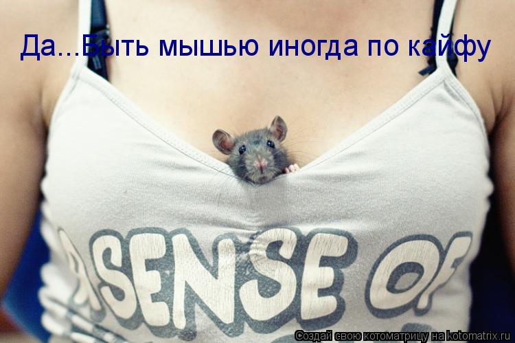 Котоматрица: Да...Быть мышью иногда по кайфу