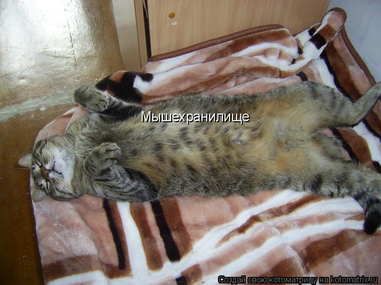 Котоматрица: Мышехранилище