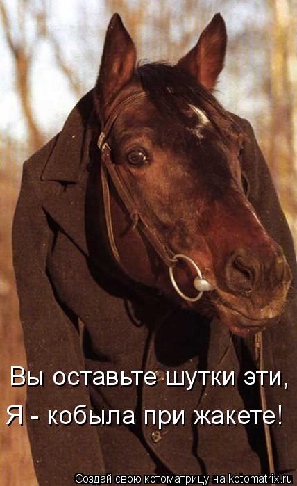 Вы оставьте шутки эти, Я - кобыла при жакете!... Котоматрица: Вы оставьте шутки эти, Я - кобыла при жакете!