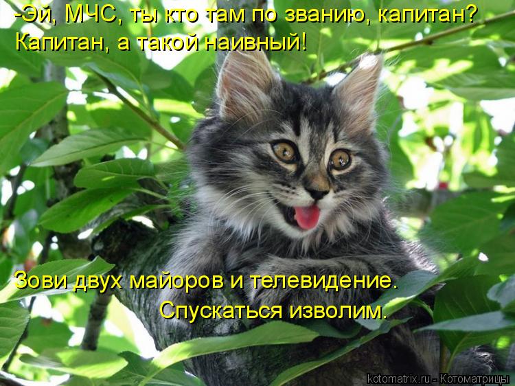 Котоматрица: -Эй, МЧС, ты кто там по званию, капитан? Зови двух майоров и телевидение.  Спускаться изволим.  Капитан, а такой наивный!