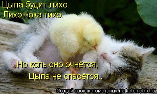 Котоматрица: Цыпа будит лихо. Лихо пока тихо. Но коль оно очнётся, Цыпа не спасётся..