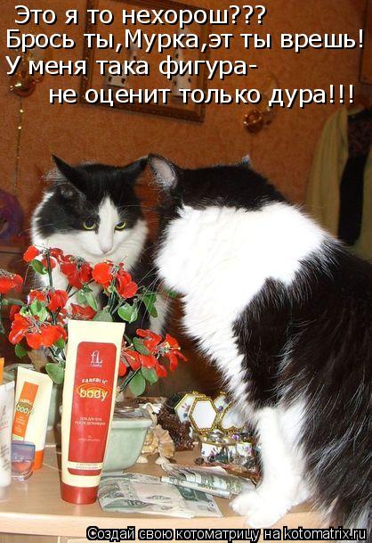 Котоматрица: Это я то нехорош??? Брось ты,Мурка,эт ты врешь! У меня така фигура- не оценит только дура!!!