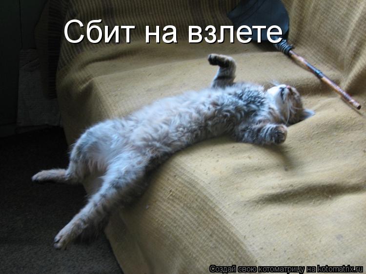 Котоматрица: Сбит на взлете