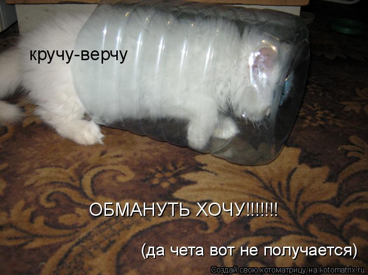 Котоматрица: кручу-верчу ОБМАНУТЬ ХОЧУ!!!!!!! (да чета вот не получается)