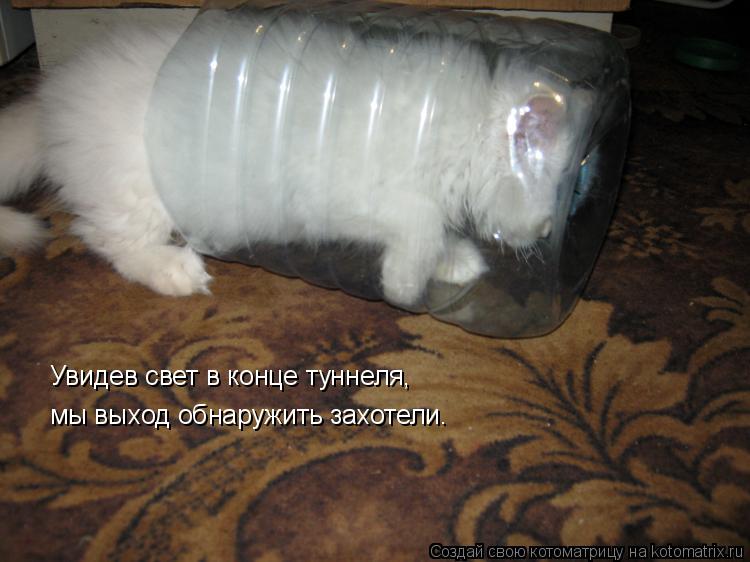 Котоматрица: Увидев свет в конце туннеля, мы выход обнаружить захотели.