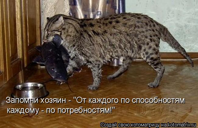 Котоматрица: Запомни хозяин - "От каждого по способностям каждому - по потребностям!"