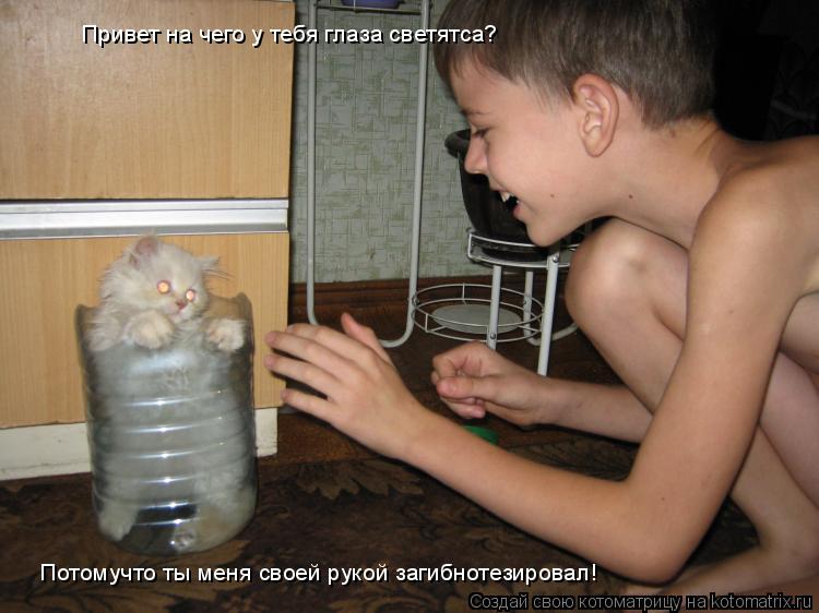 Котоматрица: Привет на чего у тебя глаза светятса? Потомучто ты меня своей рукой загибнотезировал!