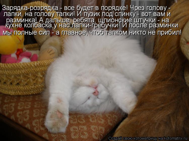 Котоматрица: Зарядка-розрядка - все будет в порядке! Чрез голову -  лапки, на голову тапки! И пузик под спинку - вот вам и разминка! А дальше, ребята, шпионск
