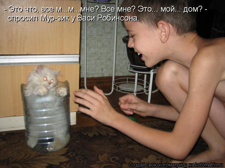 Котоматрица: - Это что, все м...м...мне? Все мне? Это... мой... дом? - спросил Мур-зик у Васи Робинсона.