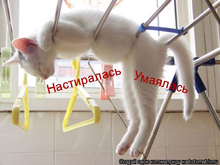 Котоматрица: Настиралась Умаялась