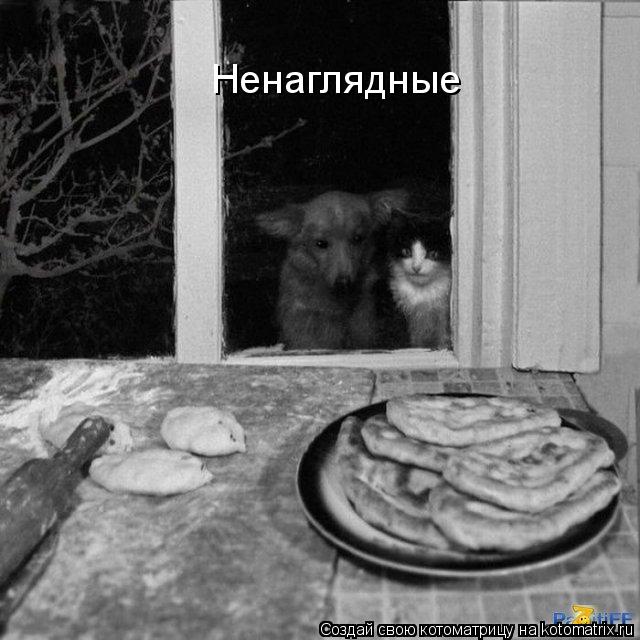 Котоматрица: Ненаглядные